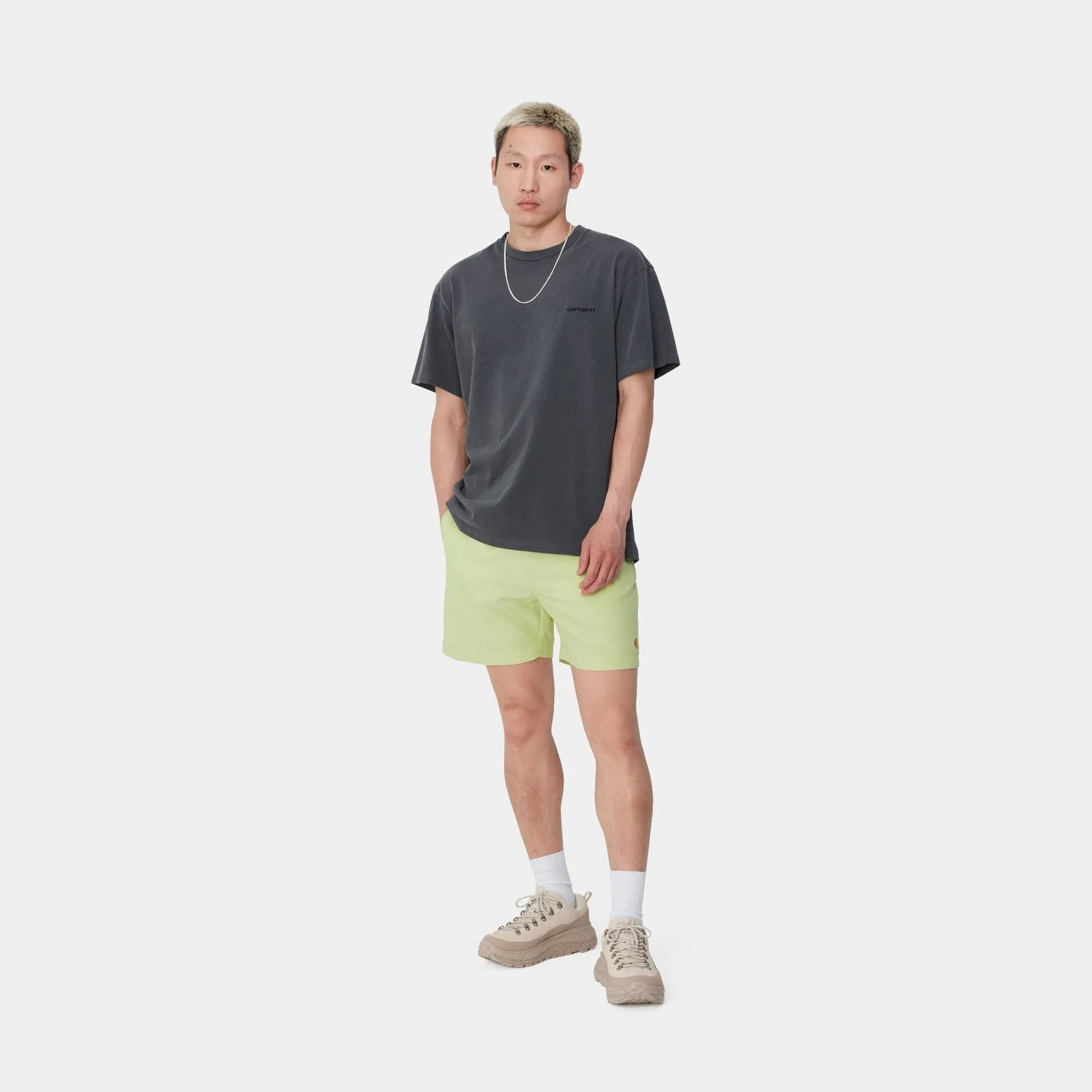 Chase Swim Trunk | Arctic Lime