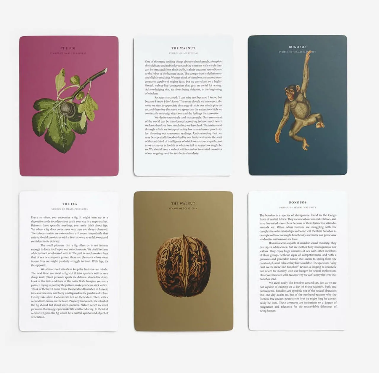 Wonder of Nature Card Set