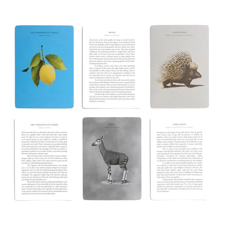 Wonder of Nature Card Set