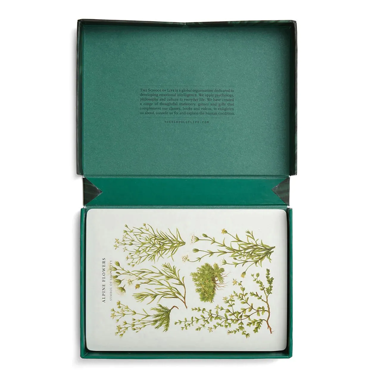 Wonder of Nature Card Set